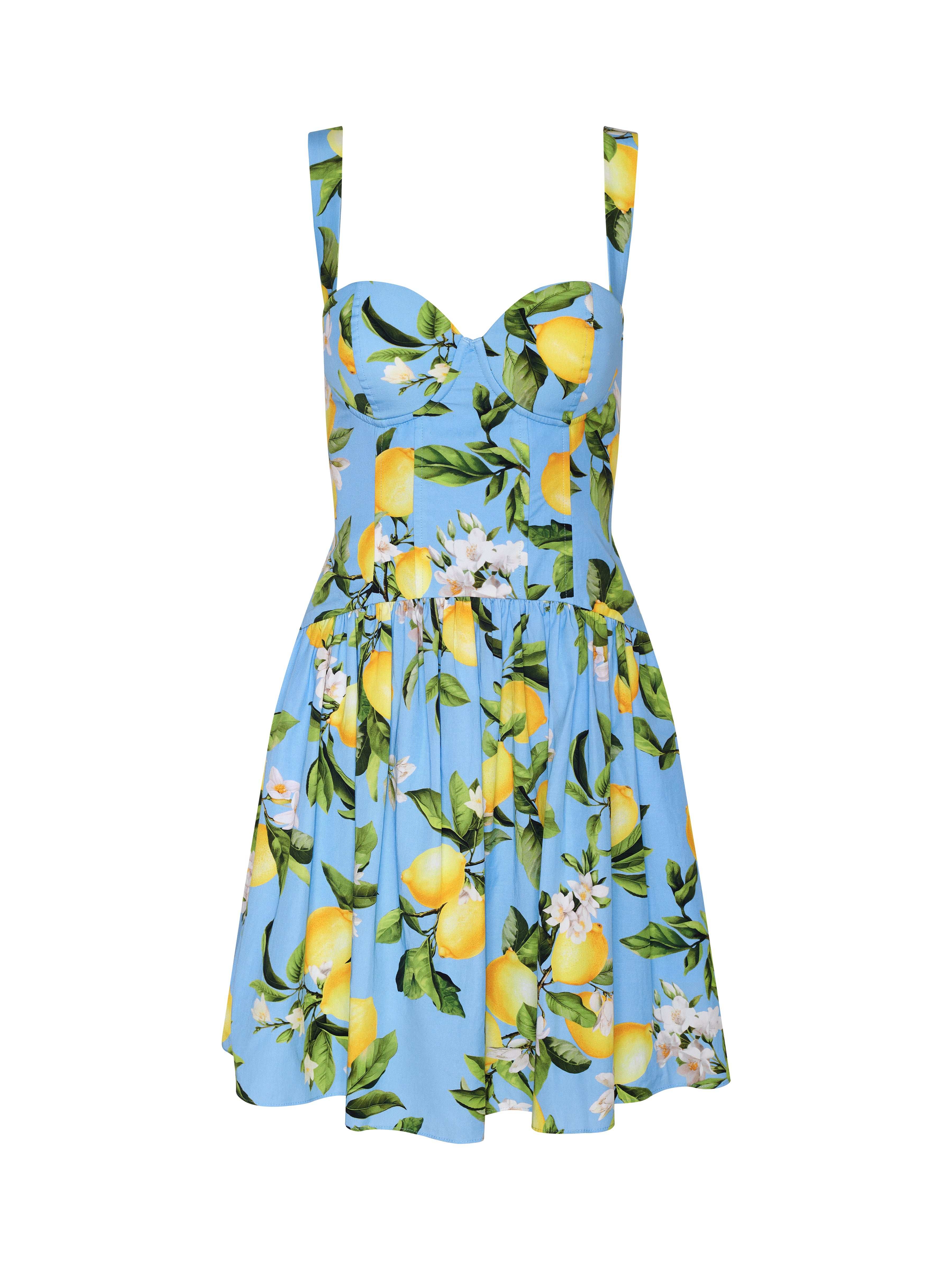 Jai Drop Waist Mini Dress - Image 5