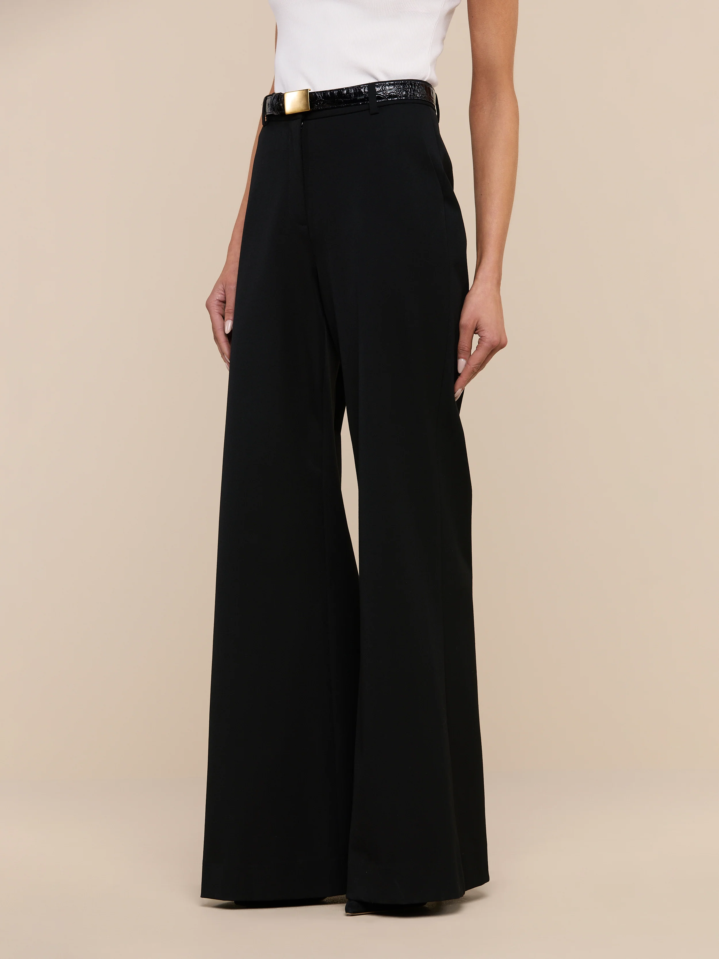 Pilar Wide-Leg Pant - Image 3